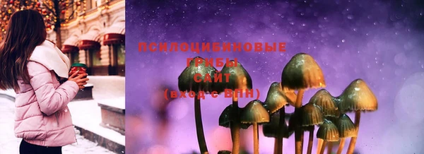 прущие крисы Новодвинск