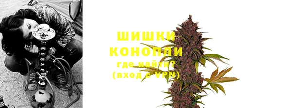 дживик Новозыбков