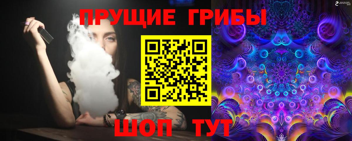 Галлюциногенные грибы Psilocybine cubensis Ростов-на-Дону