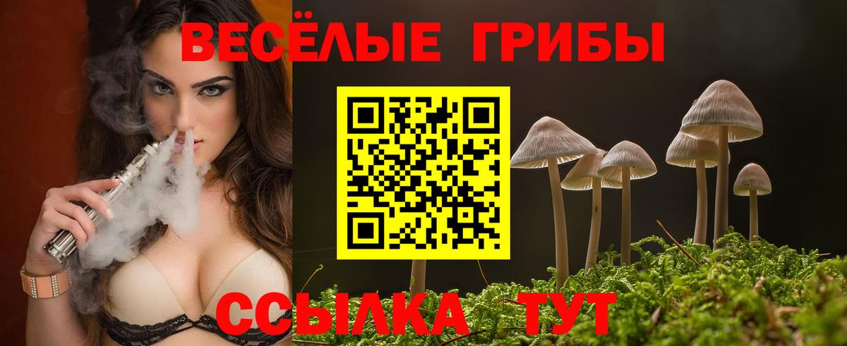 Галлюциногенные грибы мицелий  Псилоцибиновые грибы MAGIC MUSHROOMS  Ростов-на-Дону  купить наркотики сайты  Вход с VPN 